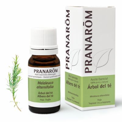 ARBOL TE HOJA AC ESENC 10ML