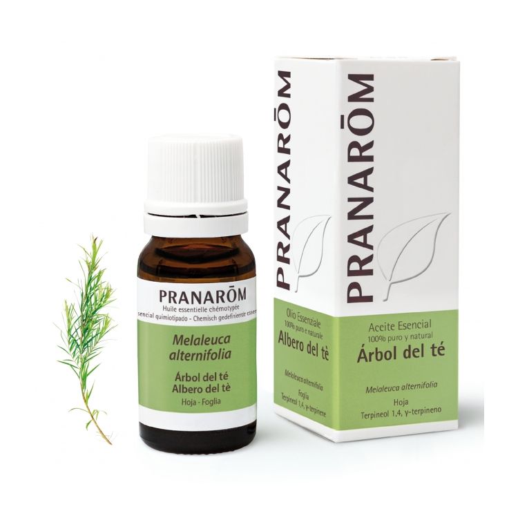 ARBOL TE HOJA AC ESENC 10ML