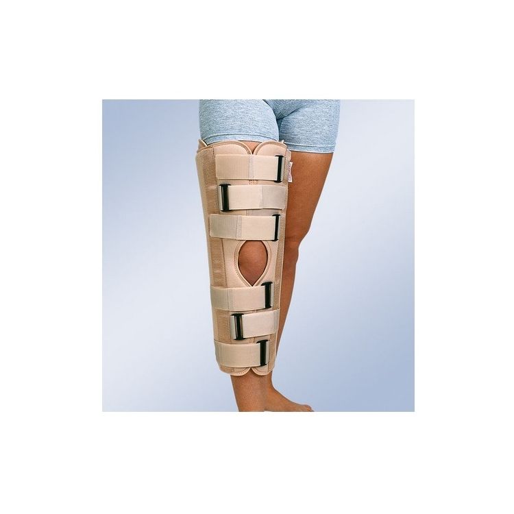 INMOV.RODILLA FIJO IR-5000