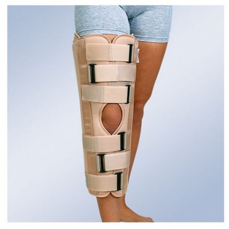 INMOV.RODILLA FIJO IR-5000