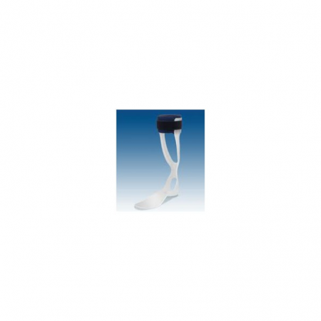 ANTIEQ.R.AMIGOS 2102DM T.3 DCH