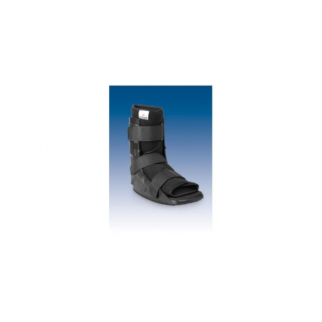 WALKER FIJO CORTO EST-088 T.2
