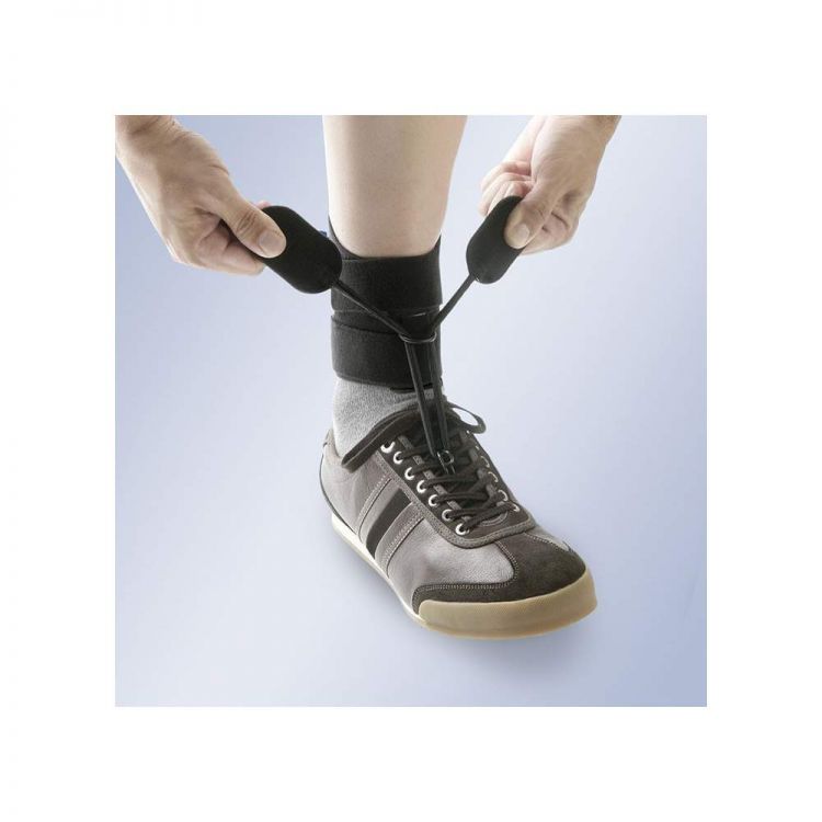ELASTICO ANTIEQUINO BOXIA AB10/2