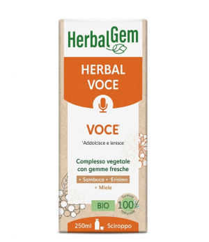 JARABE DE LOS CANTANTES 250ML