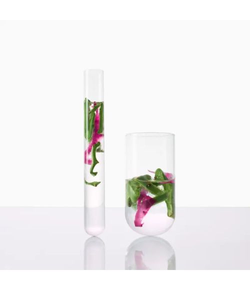Acondicionador Hidratante Higo de Barbaria 200ml | Klorane