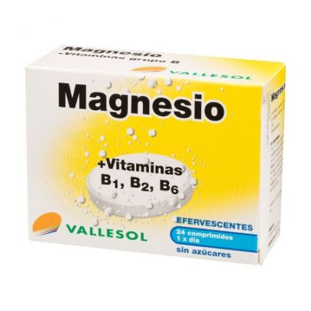 VALLESOL MAG+B EFERV 24 COMP
