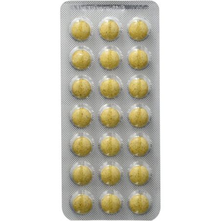 FLORADIX COMPLEM ALIMENT 84COM