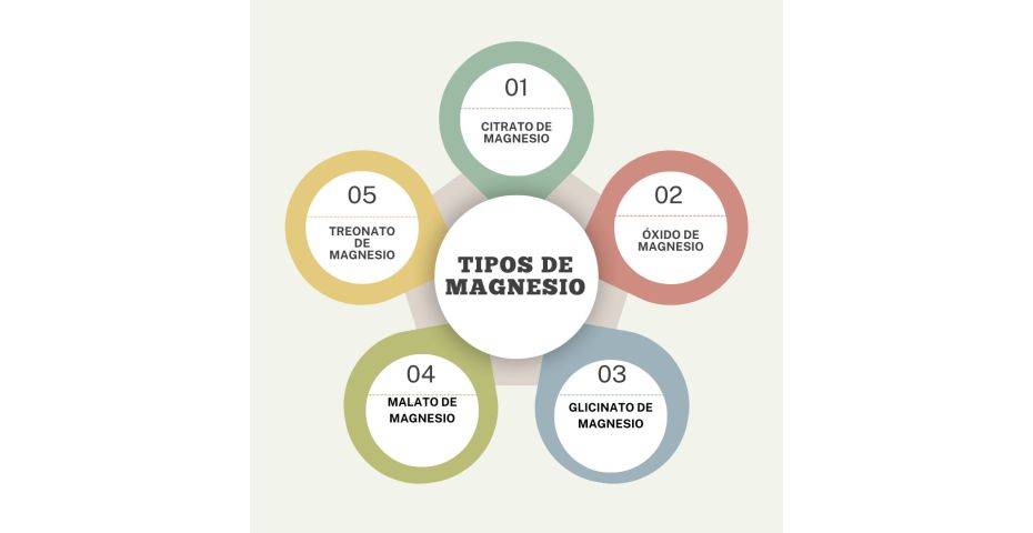 Magnesio: Tipos y Beneficios para tu Salud